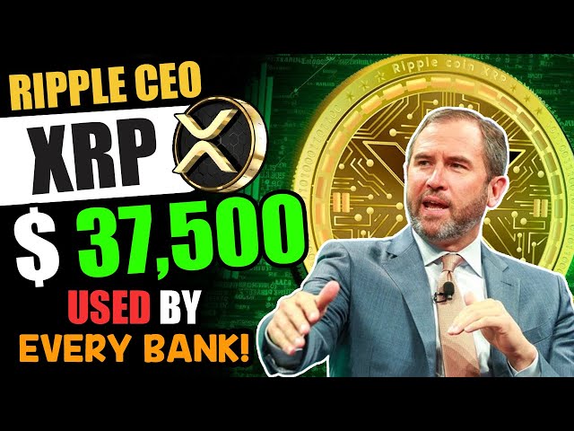RIPPLE CEO XRP ODL $37,500 XRP PROGRAMMED WILL BE USED BY EVERY BANK!