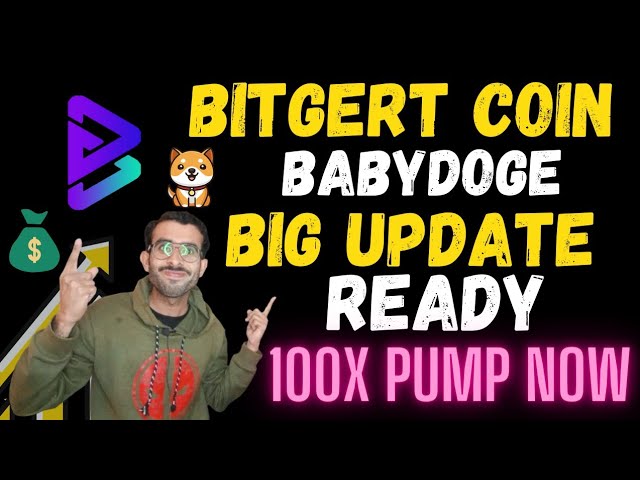 Baby Doge 硬幣更新 |今日 Bitgert 幣新聞 |比特格特更新 |寶貝狗狗硬幣新聞