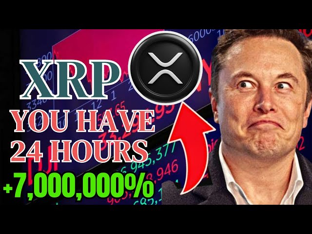 XRP-NEWS HEUTE XRP-ETF INNERHALB VON TAGEN“, sagt der CEO von RIPPLE!!