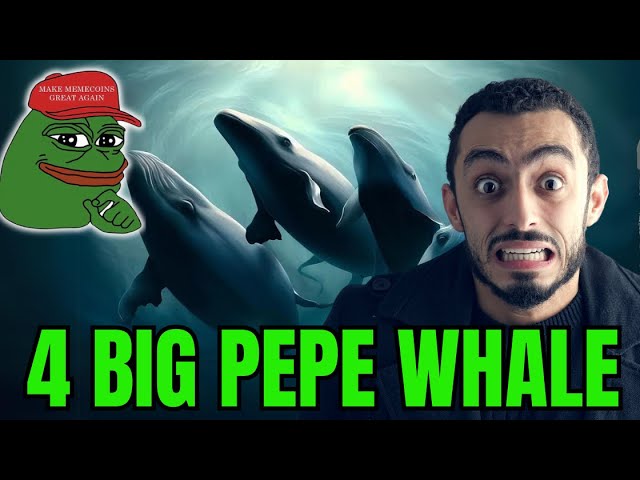 4 Massive Whales Have Begun Hoarding Pepe Coin Boost