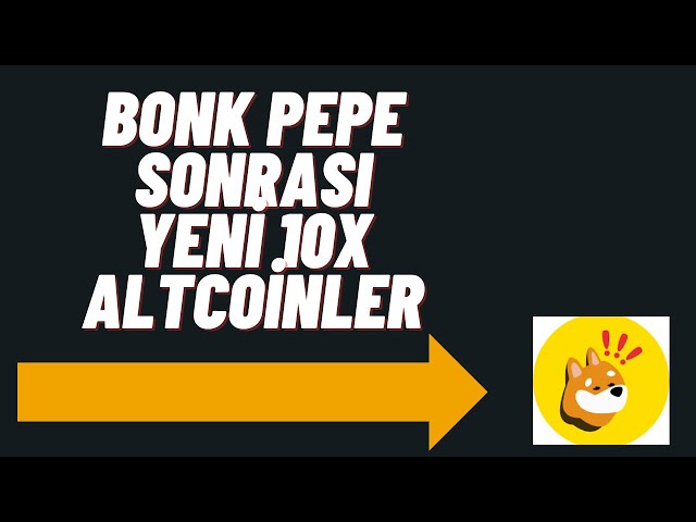 PEPE BONK 코인 이후 NETX 100X(WUF BOME 1000SATS).... 상승세를 놓치다