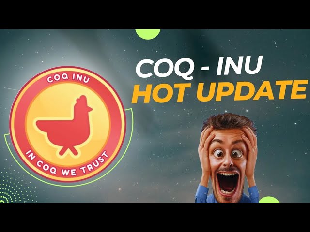 关于 COQ INU 硬币他们没有说什么 ||这很严重