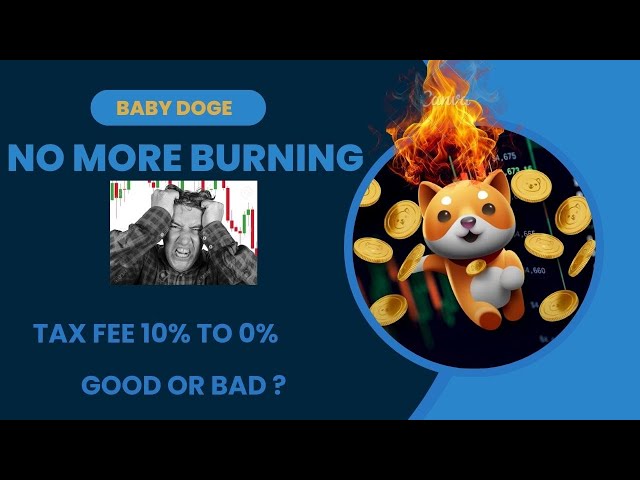 Baby doge 燃焼に関する最新情報 | Babydogecoin の最新情報 |ベイビードージのニュース