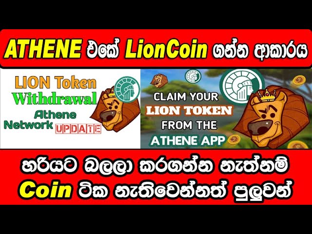 Athene 마이닝 앱 Lion 토큰 출금 주소 제출 프로세스 방법 | 아테네 채굴 신규 업데이트