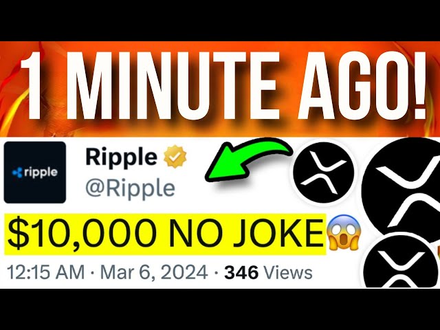 이번 주 미국 의회에 의해 XRP가 중단될 예정인가요? (농담이 아닙니다!) - 현재 리플 XRP 뉴스