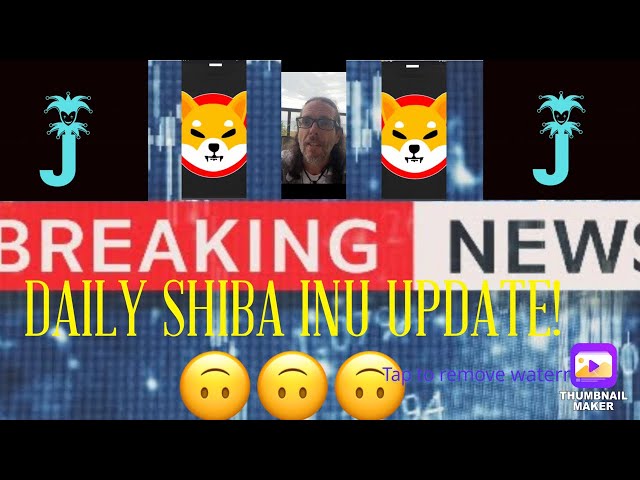 SHIBA INU COIN | SHIB DAILY UPDATE | SHIB NEWS TODAY | SHIB BURN CHANNEL | SHIB | SHIB ARMY |