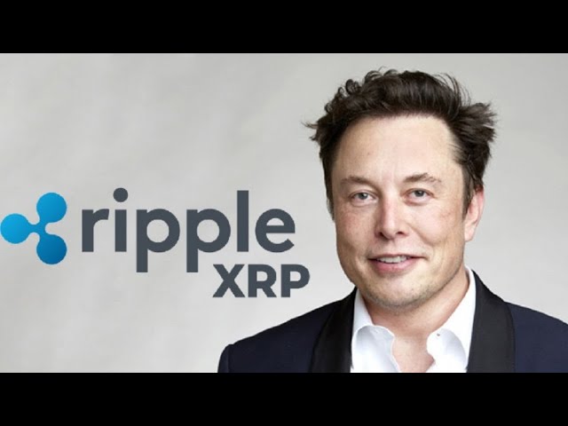 XRPこれは本当に強気だ、イーロン・マスクとXRPも??本当に？？