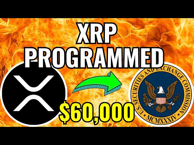 XRP首席执行官：XRP案例的最终回应！！！ XRP 计划价格为 60,000 美元 - 瑞波 XRP 新闻现已发布！