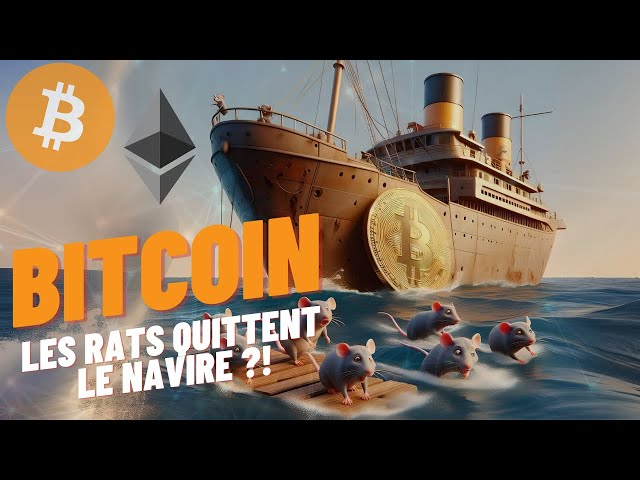 BITCOIN: Die Ratten verlassen das Schiff?! 👀 (Analyse vom 13.05.24)