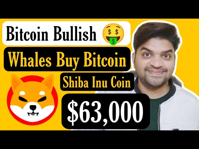 Bitcoin haussier 🤑 | Bitcoin 63 000 $ | Shiba Inu Coin Dernières mises à jour en hindi