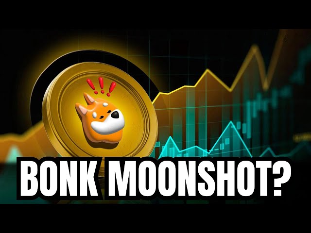 BONK MOONSHOT이 들어오나요? 시장 반전 및 다음 빅 밈 코인 공개!