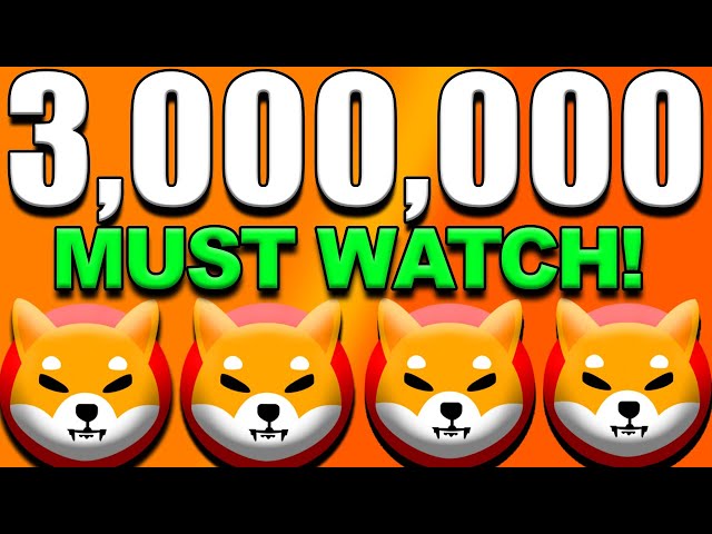 SHIBA INU COIN NEWS AUJOURD'HUI : SI VOUS DÉTENEZ 3 000 000 SHIB, VOUS DEVEZ VOIR CECI - PRÉDICTION DU PRIX SHIBA