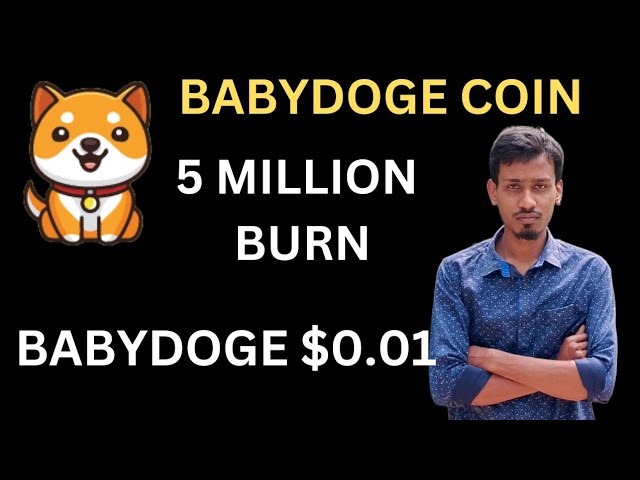 今日のベイビードージコインニュース | 500万バーニング | BabyDoge コインプライスポンプ 100x |バイナンスのリスト