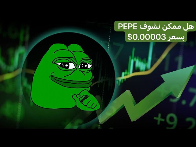 PEPE Coin, peut-il atteindre 0,00003 $ - 14/05/2024