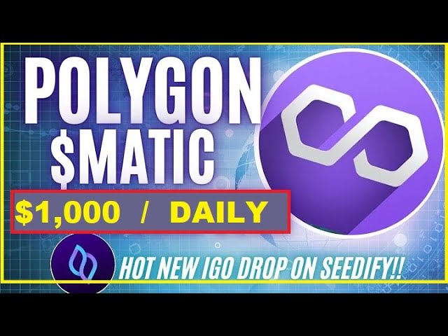 Polygon (MATIC) 플래시 대출 재정 거래 튜토리얼 100배 수익으로 수동적으로 하루 $1000 수익 창출