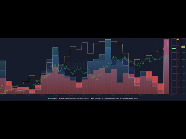 L’activité des baleines PEPE explose au milieu de la hausse des prix vers le nouvel ATH