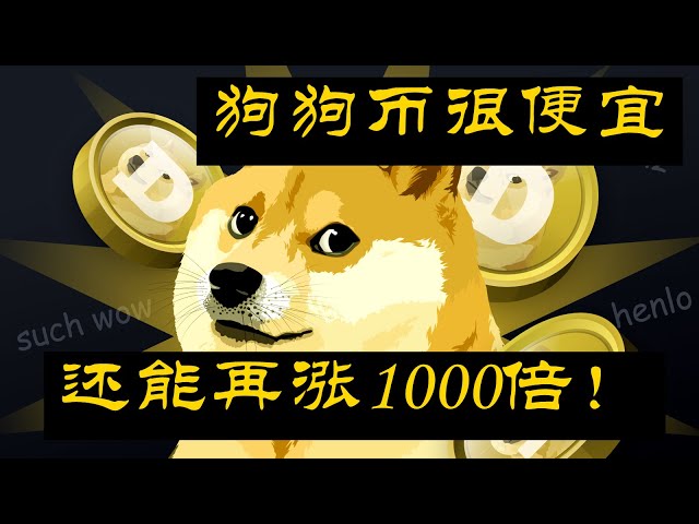 [Logique super détaillée des détenteurs de DOGE à long terme] Dogecoin augmentera certainement encore 1 000 fois dans le futur ! ! DOGE est très bon marché maintenant, ne le vendez pas ! !