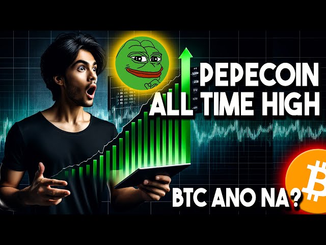 MISE À JOUR CRYPTO : QUE SE PASSE-T-IL AVEC BTC ? PEPE COIN À TOUT TEMPS DE NOUVEAU ÉLEVÉ