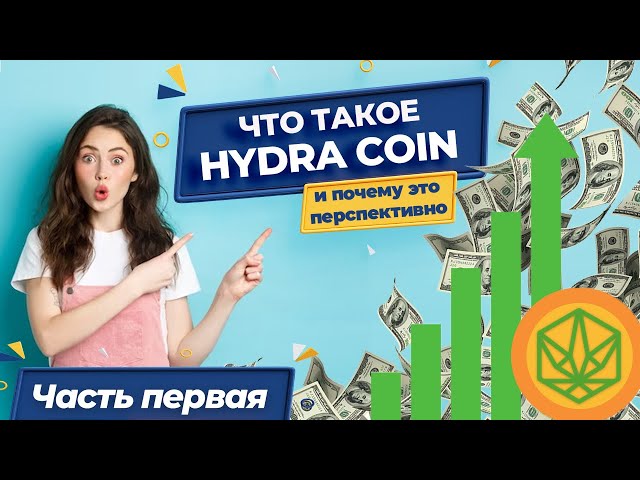 TON Hydra Coin 项目回顾 |第1部分