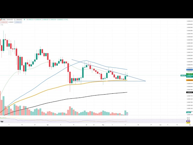 Enfin Shiba Inu (SHIB) sur le point de percer, Solana (SOL) va se faire presser, Bitcoin (BTC) est-il Ge