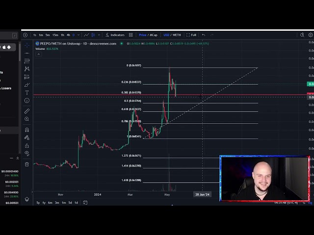 PEEPO Coin BOTTOM BULL RUN PUMP!? PEPE Crypto Price Prediction and Technical Analysis Today 2024