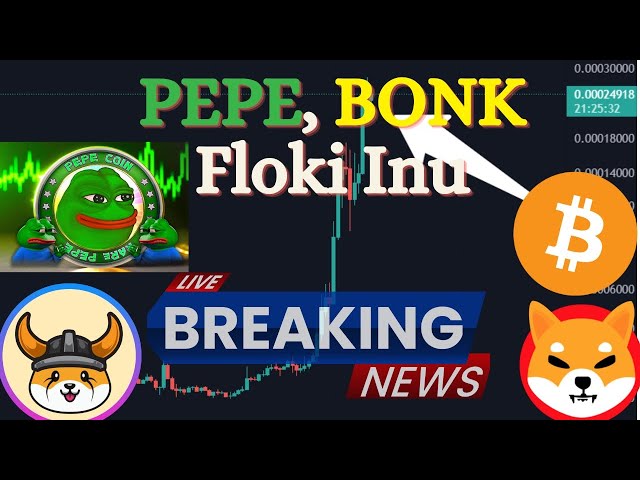 🛑 PEPE 코인과 FLOKI 투자 | 비트코인 7만개 곧 | 페페 코인 뉴스 | 플로키 코인 | 암호화폐 랄릿