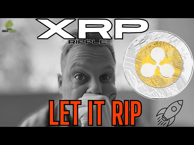 XRP - 发送（*重复*）🚨