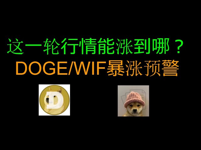 此輪市場能走多遠？ DOGE/WIF 突波警告 / BTC / Dogecoin / Hat Dog / SOL / SILLY