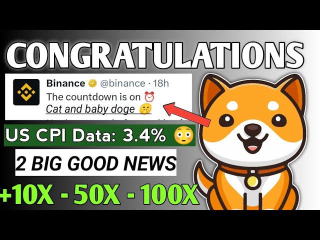 BABY DOGECOIN🤫 HERZLICHEN GLÜCKWUNSCH BINANCE 10X 50X 100X NÄCHSTER.. BOOOM 😱BRAKINGNEWS HEUTE PREISVORHERSAGE