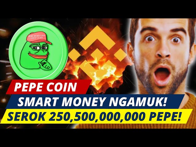 #Pepe Coin が急上昇: 累計 2,505 億 PEPE #SmartMoney