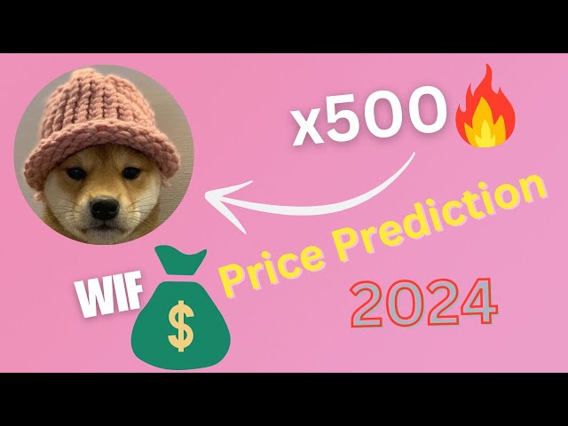 WIF 可能會讓你致富 | WIF Meme 幣分析 | WIF 的加密貨幣期貨交易訊號