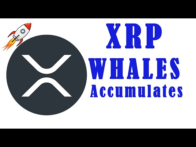 XRP Whales Accumulate 540M XRP Worth $270M in 5 Weeks