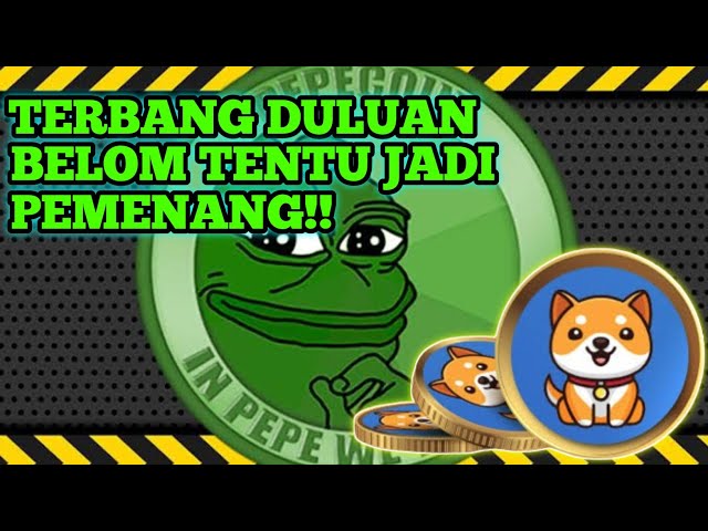 PEPE PUMPING ‼ ️ BABYDOGE 你要去哪裡？