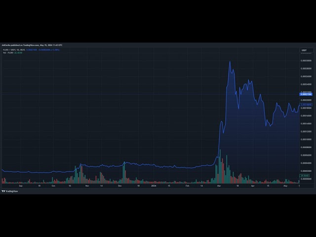 Moment de gloire de Floki Inu : les analystes prévoient un rallye explosif de 200 %