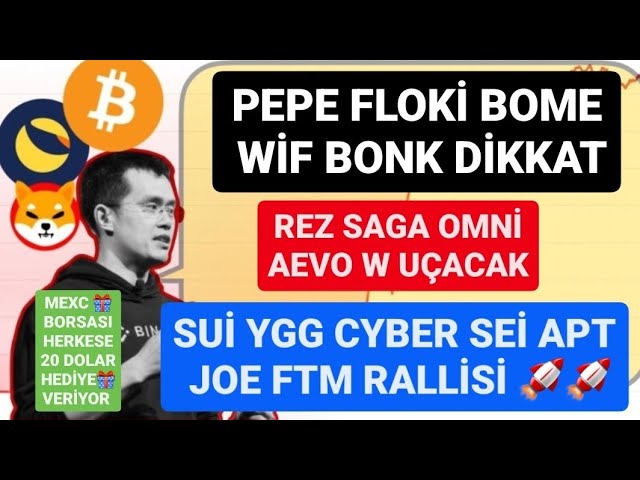 APT JOE FTM 랠리를 위해 YGG 사이버를 빨아들이세요🚨PEPE FLOKİ BOME WİF BONK ATTENTION🚨REZ SAGA OMNI AEVO W WILL FLY