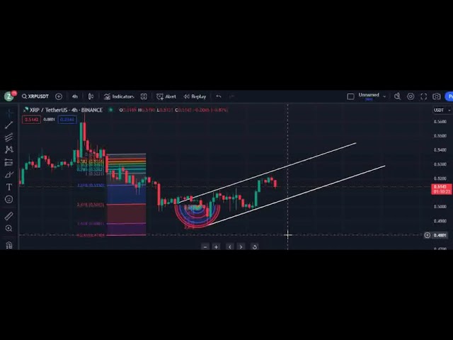 NOUVELLES ET ANALYSES DE COMMERCE DE PRÉVISION DU PRIX DES PIÈCES XRP 2024