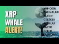 XRP COIN WHALES A FAIT UN ACHAT QUI FERA L'HISTOIRE : RIPPLE A GAGNÉ DE LA FORCE AVANT L'EXPLOSION !🚀ATTENTION !🔥