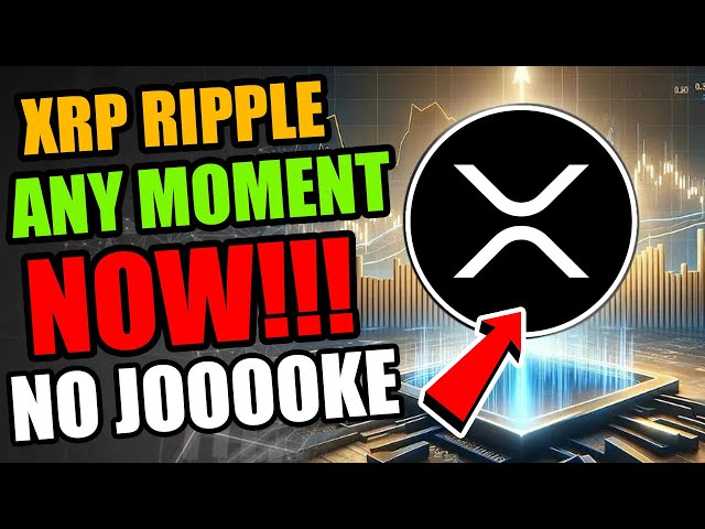 미친 펌프에는 JOOOOKE XRP 리플이 없습니다! 지금 당장!!! 현재 리플 XRP 뉴스