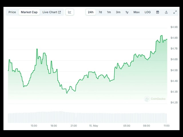 PEPE의 시가 총액은 가격이 또 다른 ATH를 기록한 후 50억 달러를 목표로 합니다.