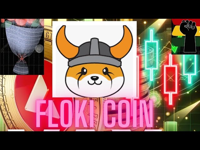 FLOKI 코인 가격 예측 암호화폐 거래 및 분석 2024