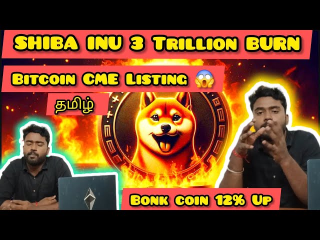 Shiba Inu 3조 소각 - Bonk Coin 12% 상승 - Bitcoin CME 상장 - 암호화폐