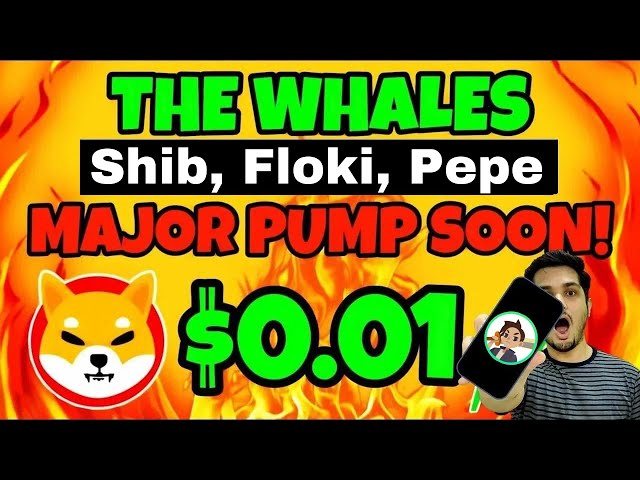 🔴 긴급 Shiba Inu $0.01 큰 움직임 🔥 Floki, Pepe 100x Memecoins 업데이트 💯 Mogaland Crypto News