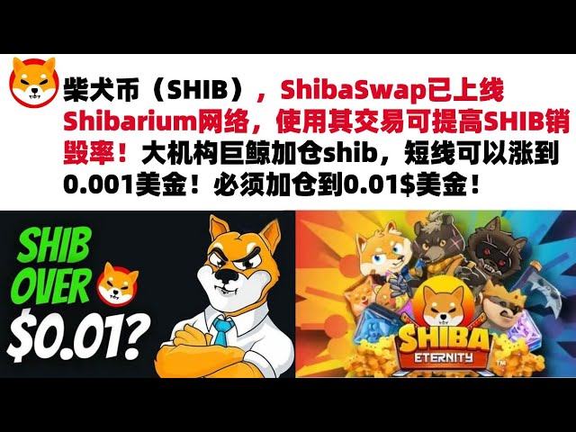 Shiba Inu Coin (SHIB), ShibaSwap a été répertorié sur le réseau Shibarium, et l'utilisation de ses transactions peut augmenter le taux de destruction du SHIB ! Les grandes baleines géantes institutionnelles ajoutent des positions en shib et le prix pe