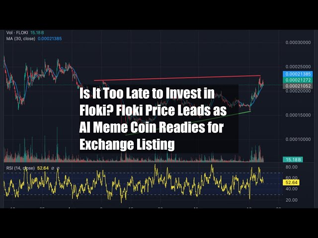 Floki에 투자하기에는 너무 늦었나요? Floki Price가 AI Meme 코인으로 선도