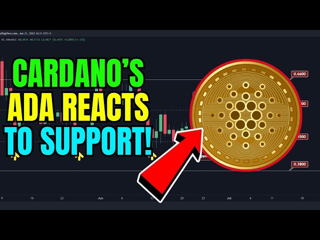 CARDANO ADA 뉴스 오늘 지원 영역의 ADA: 반전 가능성? - 엘리엇 파동분석!!!!