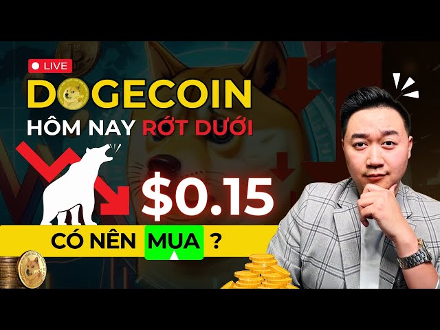 DOGE 코인이 오늘 0.15달러 아래로 떨어졌습니다. 구매해야 할까요?