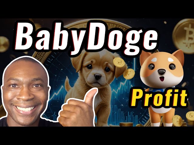 BabyDoge 코인 2024 예측 업데이트! || 아담 쉘턴