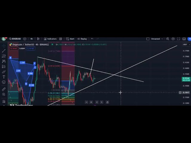 狗狗幣價格預測 2024 年加密貨幣交易與分析