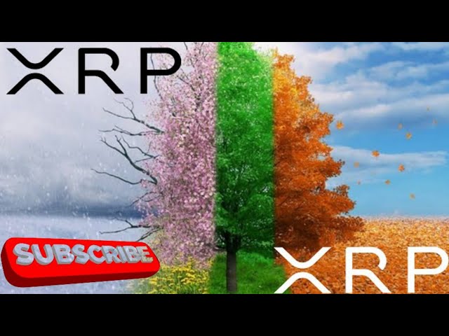 XRP RIPPLE IT IS OFFICIAL !!!!!|Xrp ripple|Ripple xrp|RIPPLE RESPONSI|Xrp price prediction