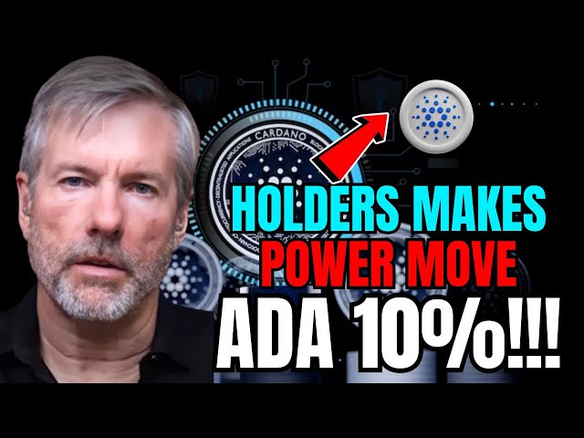 今日 CARDANO ADA 新闻 - 持有者群体让权力转移！！！添加10%！